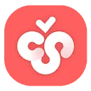 Cherry Studio